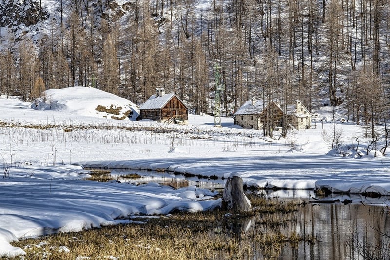 Eco Lodge in the Woods